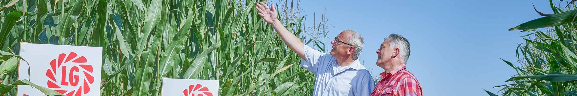 Nah am Landwirt - partnerschaftlich mit dem Handel