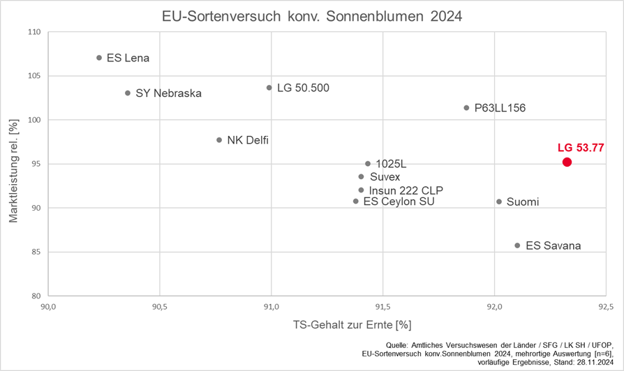 Sonnenblume LG 53.77 im EU-Sortenversuch 2024