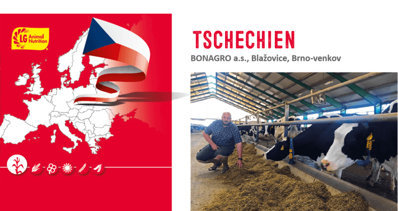 Praktischer Landwirt Tschechien