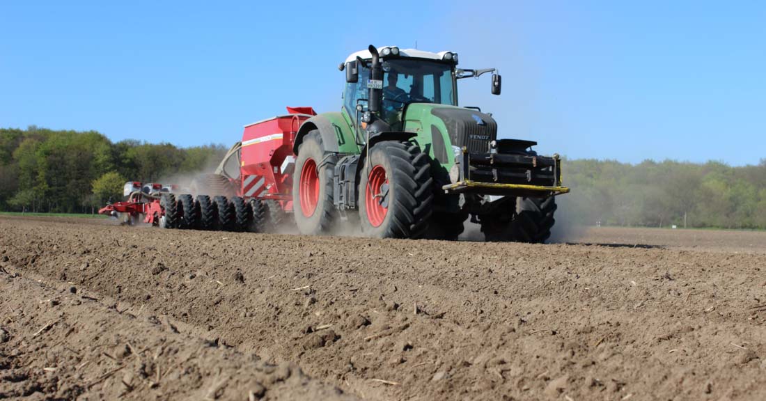 Erfolgreicher Maisanbau beginnt mit der Mais Aussaat 