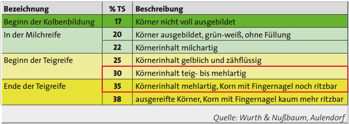 Was ist der optimale Silomais Erntetermin