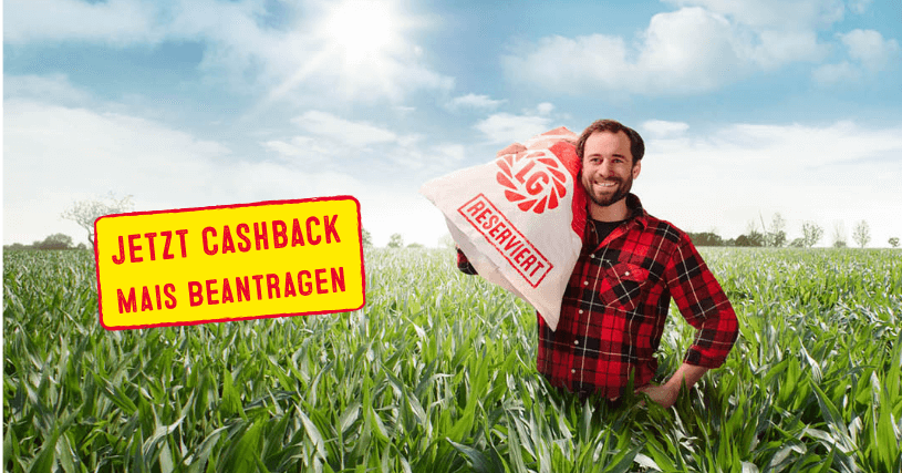 Für reservierten und gekauften LG Mais Cashback beantragen