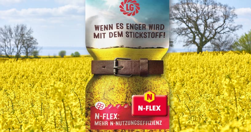 N-Flex Raps von LG mit verbesserter Stickstoff-Nutzungseffizienz