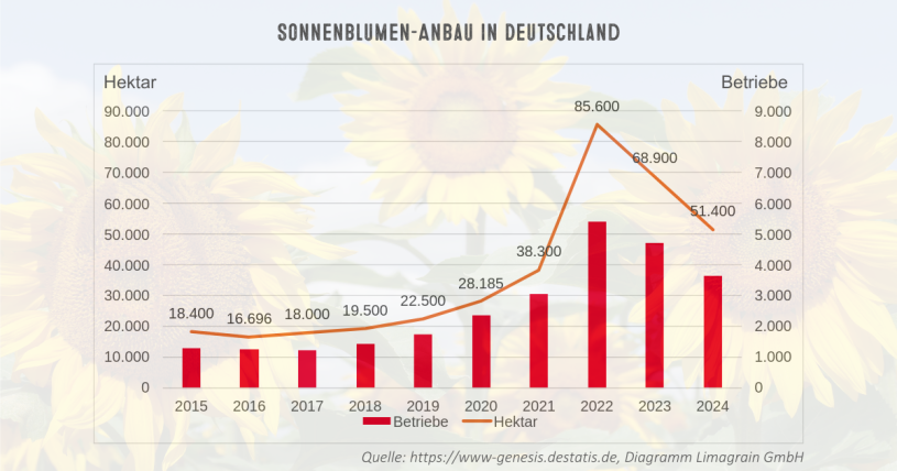 Sonnenblumen Anbau Deutschland, Flächen und Betriebe 2015-2024